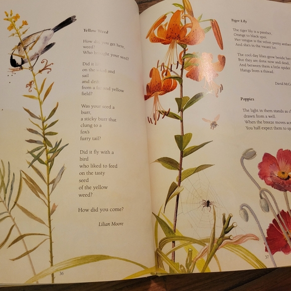 The Earth is Painted Green; A Garden of Poems About Our Planet - Picture 4 of 7